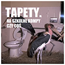tapetycover