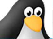 pingwin
