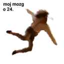 moj mozg o 24