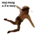 moj mozg o 3