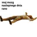 moj mozg rano