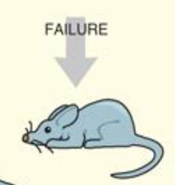 failure
