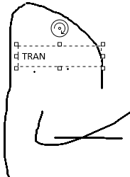 tran
